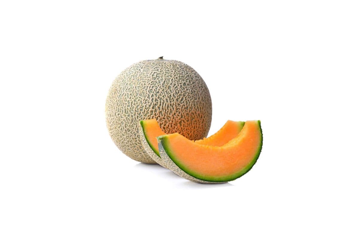 Cantaloupe (1 count)