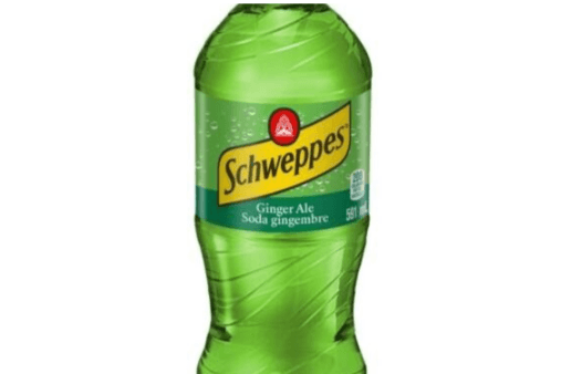 Ginger Ale (591 ml Bottle)