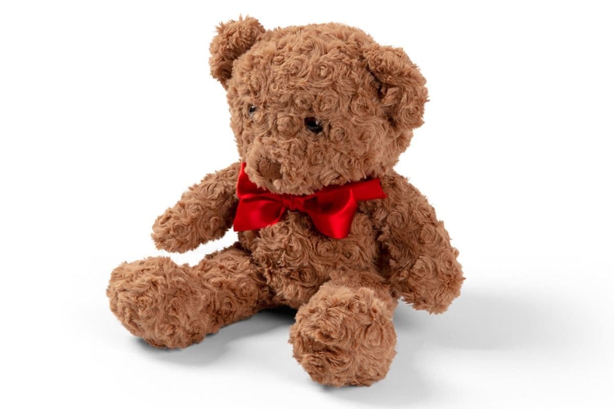Bobbi the Bear Plush