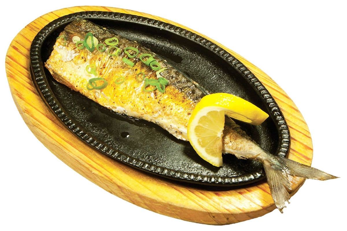 G1. Mackerel