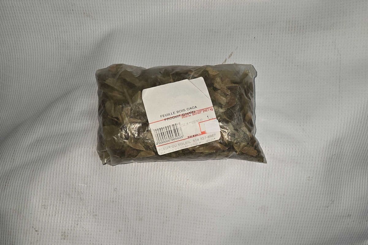FEUILLE BOIS KAKA