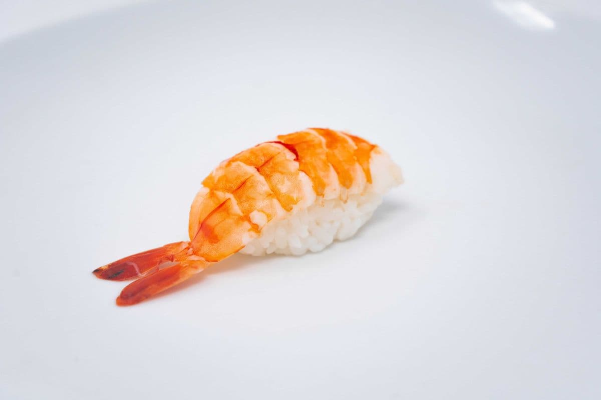 Ebi Nigiri (1 Piece)