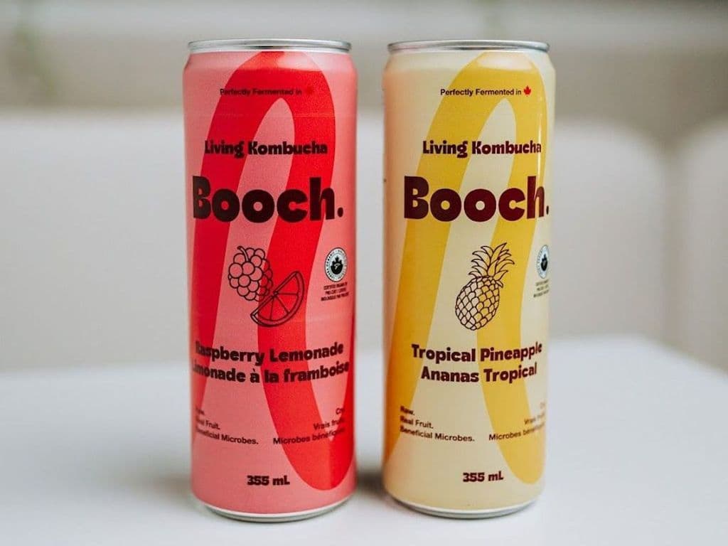 Booch Kombucha Can