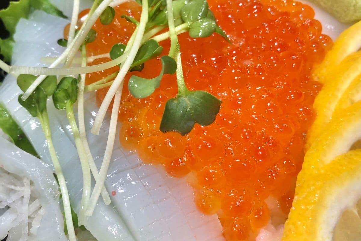 Ika and Ikura Donburi