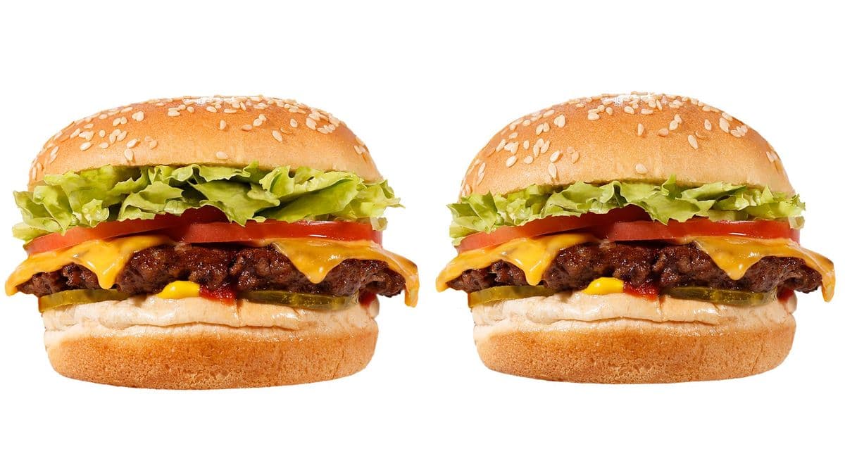 Cheeseburger (2)