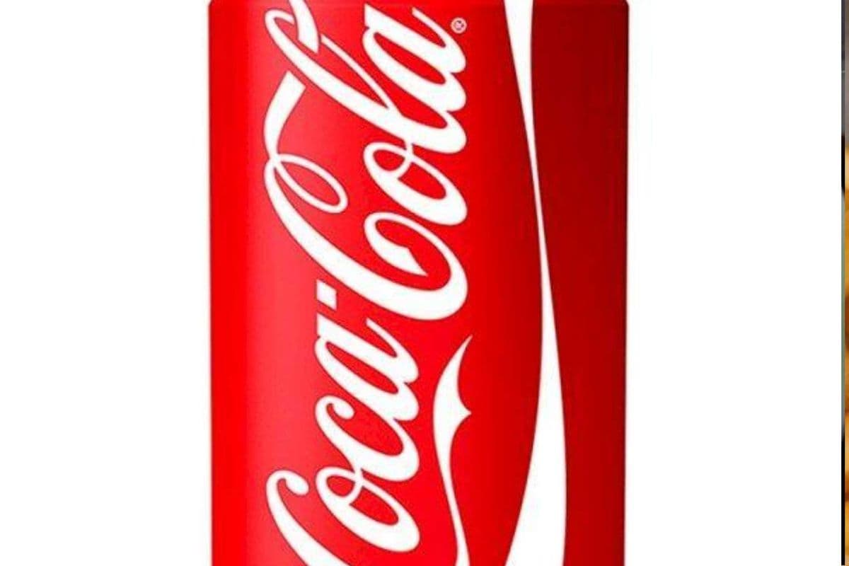 Coca cola(355ml)