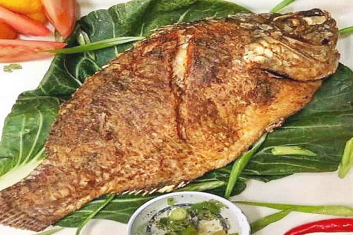 Pritong Tilapia