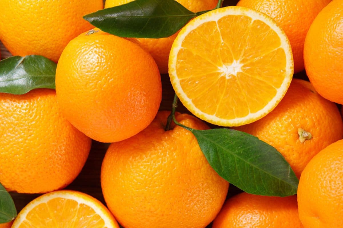 Navel Oranges (1 Lb)