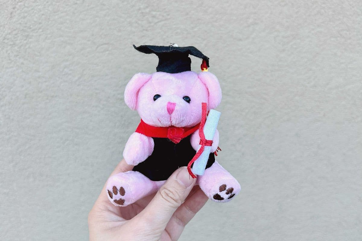 Graduation Bear Mini - Pink