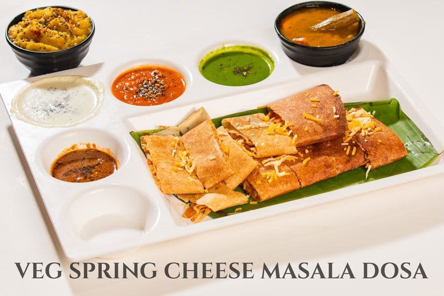 VegSpring Cheese M.D