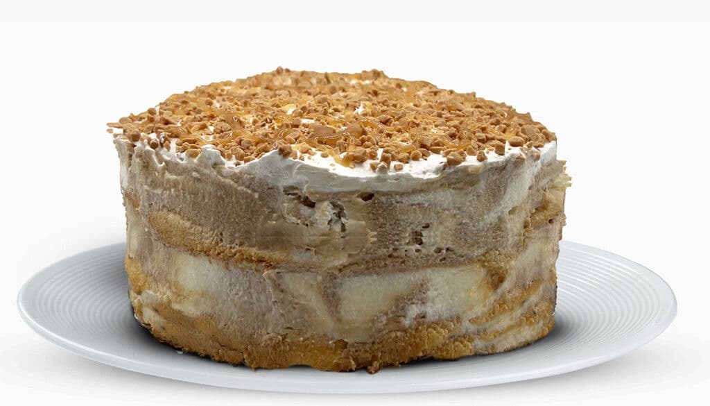 Gâteaux à la Crème Glacée Caramel Salé / Salted Caramel Ice Cream Cake
