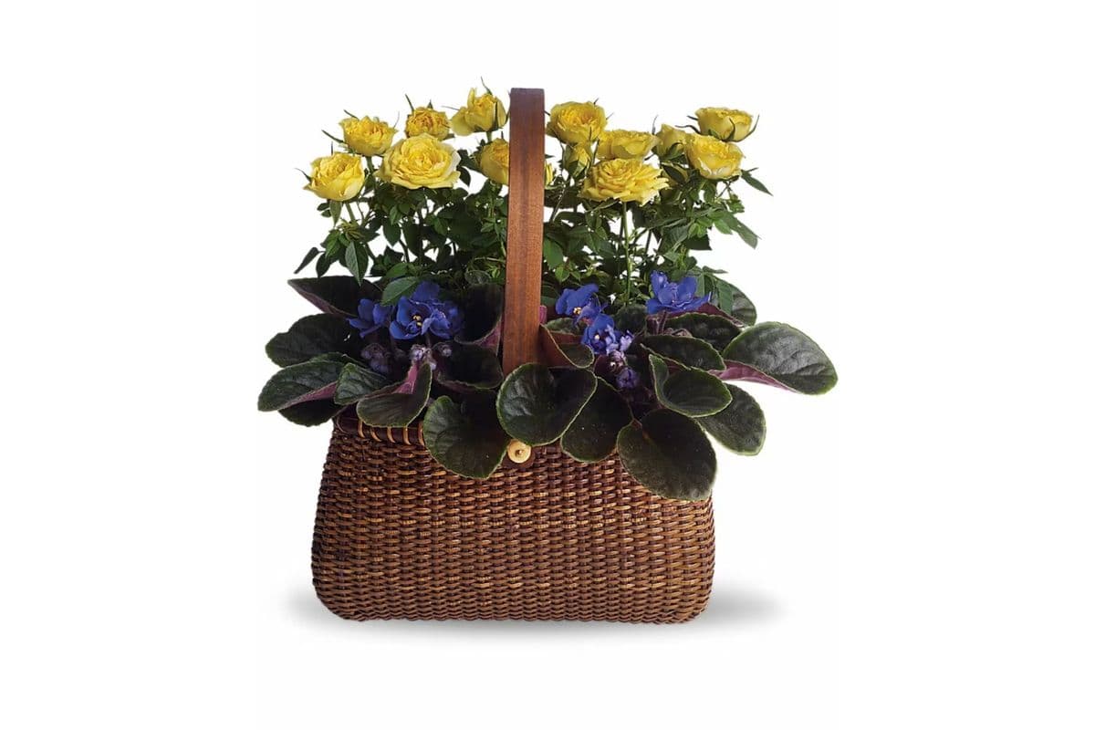 Garden to Go Basket