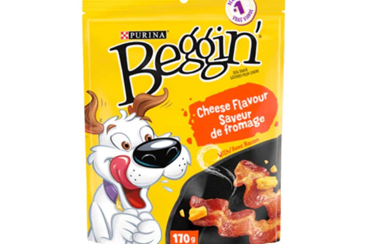 Purina Beggin' Dog Snacks - Cheese Flavour (100 g)