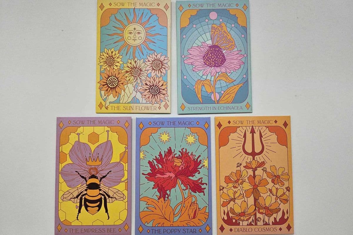 WILDFLOWER BUNDLE (Sow The Magic - Gardening Seed Packets)