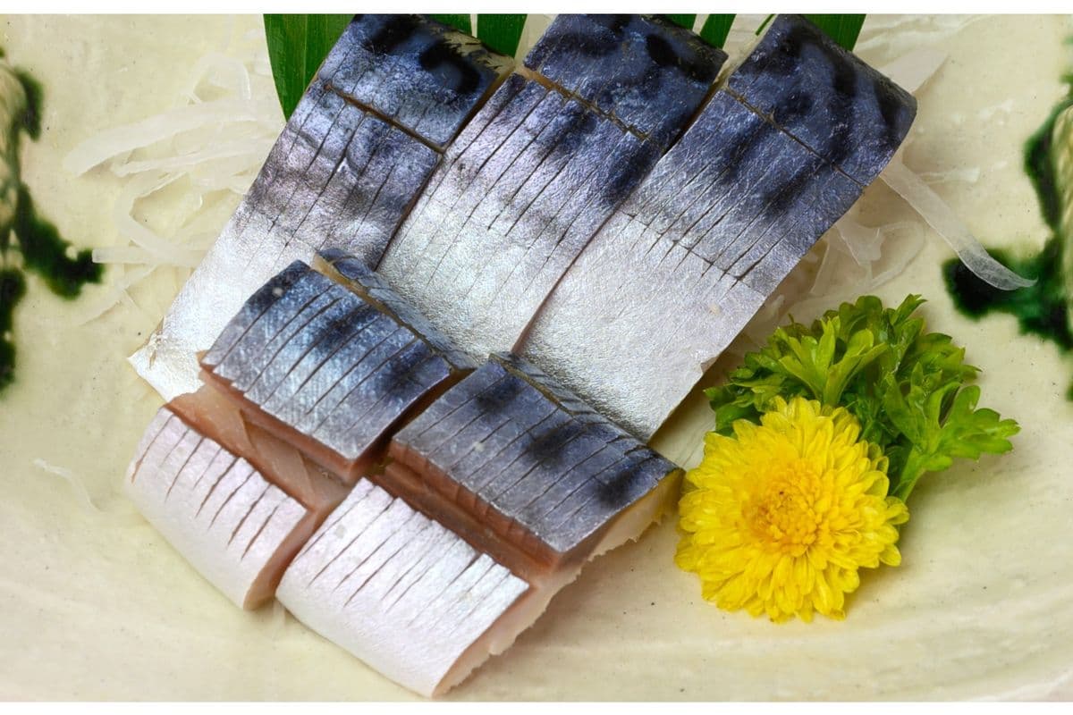 Mackerel