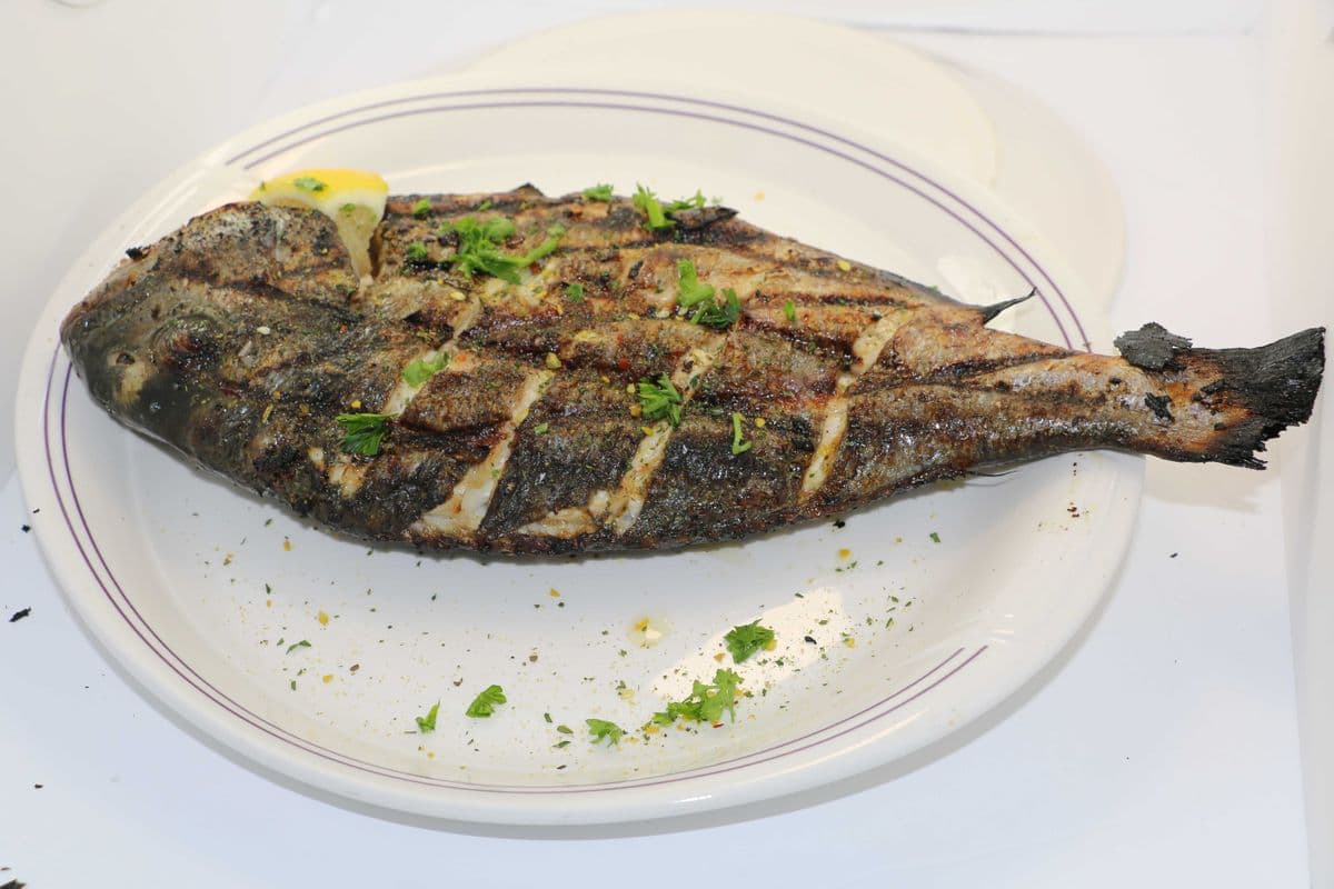 13. Plat de Dorade Royale / Royal Sea Bream Plate
