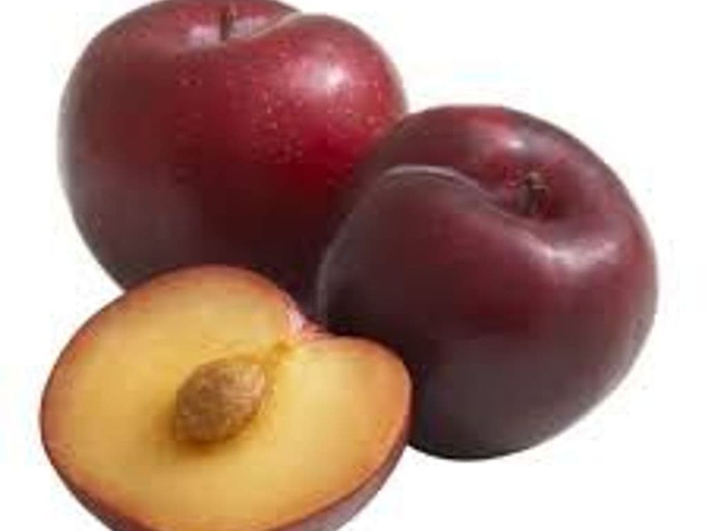 ANGELENO PLUMS ( 3 PCS)