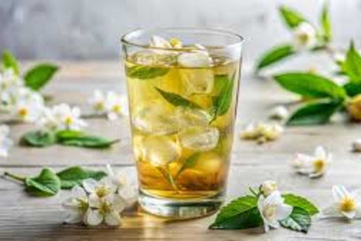 Iced Jasmine Green Tea / 冷萃茉莉綠茶