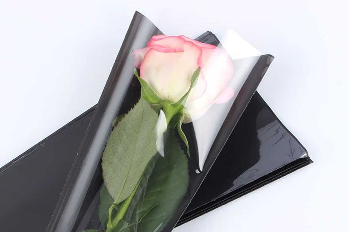 Single Long Stem Premium Rose