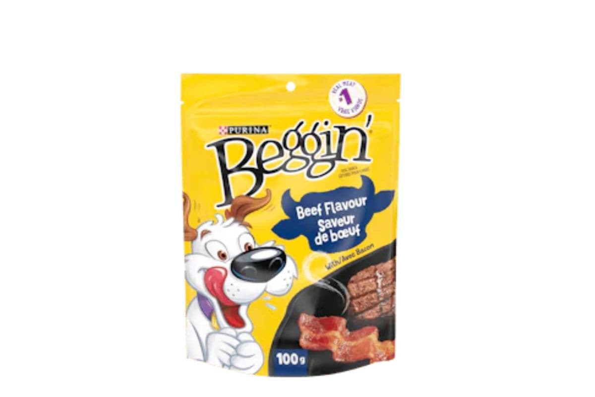 Beggin' - Beef