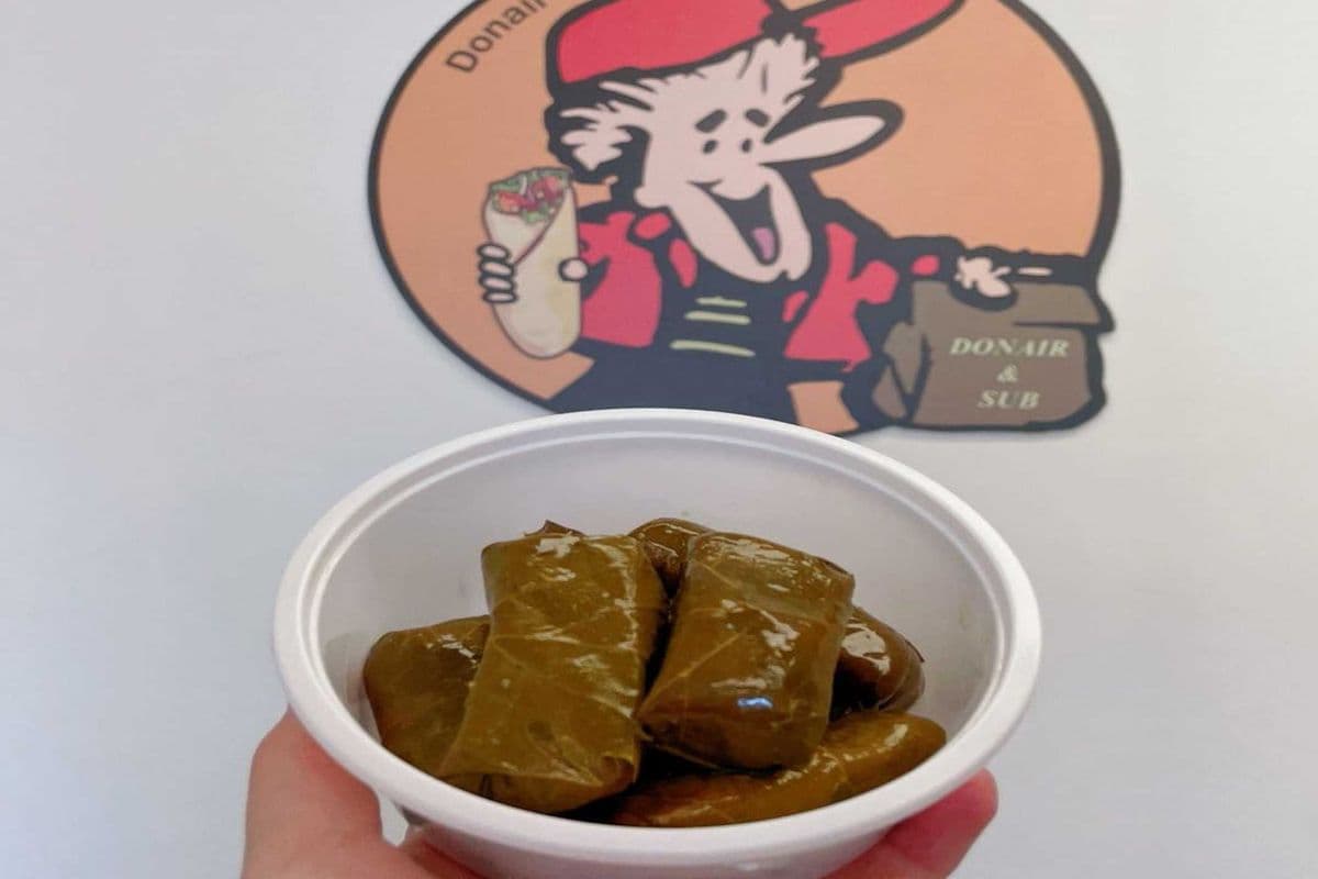 Dolmas (6 pcs) and Tzatziki