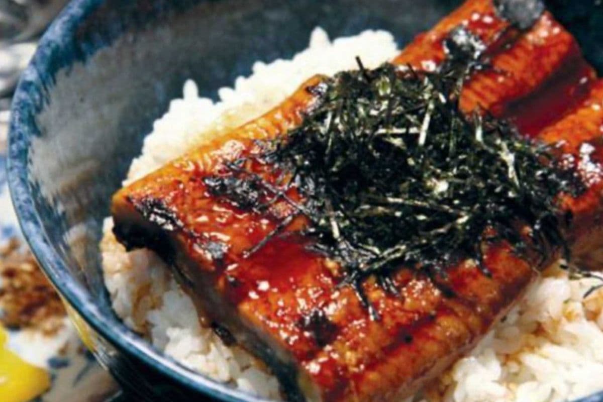Unagi Don 鰻魚飯