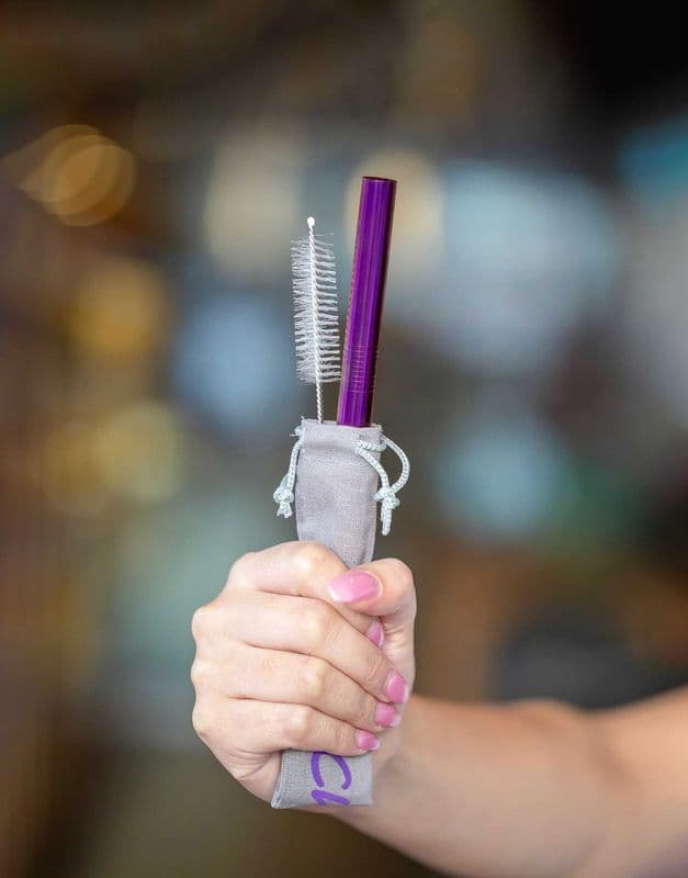 Stainless Straw (Purple)