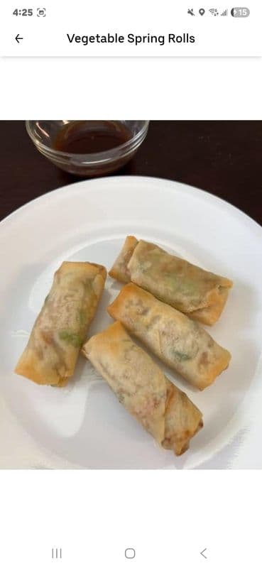 15 Vegetable Spring Rolls
