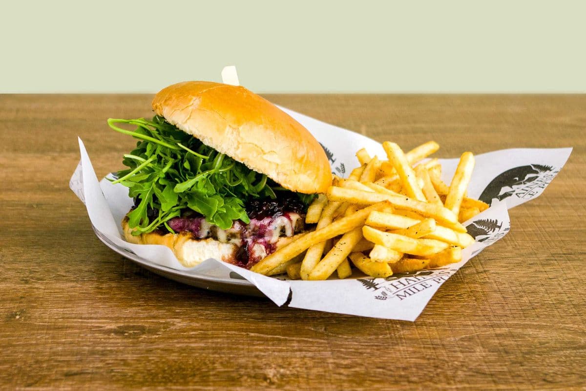 Bison Burger