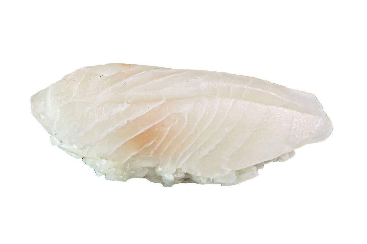 Shiromi Sushi (2 pcs)