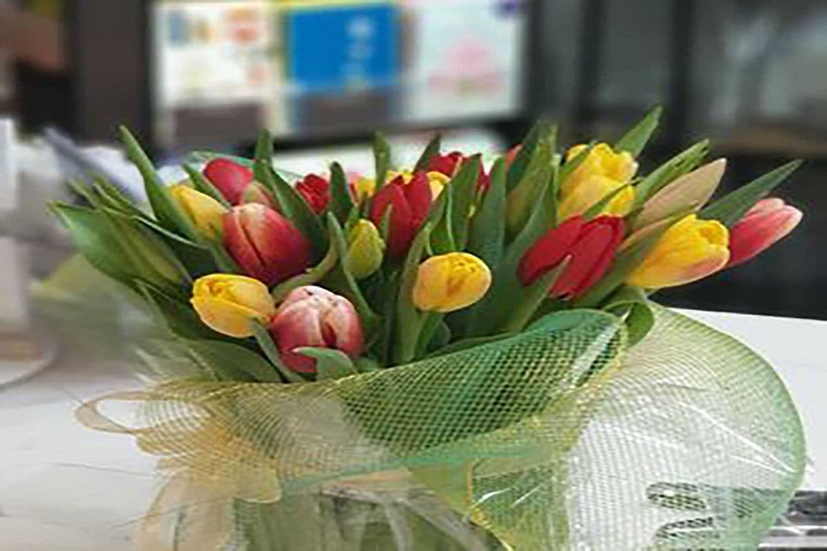 Tulip Bunch