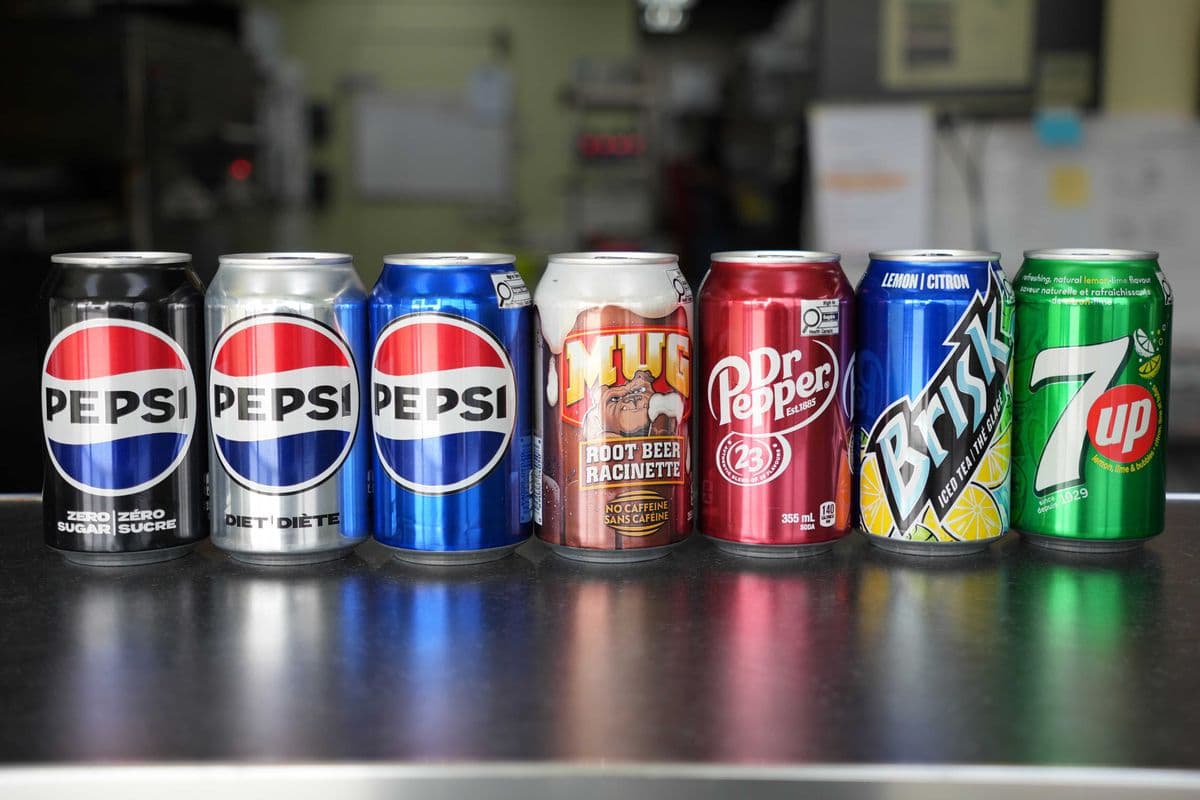 Soft Drinks (1 Can)