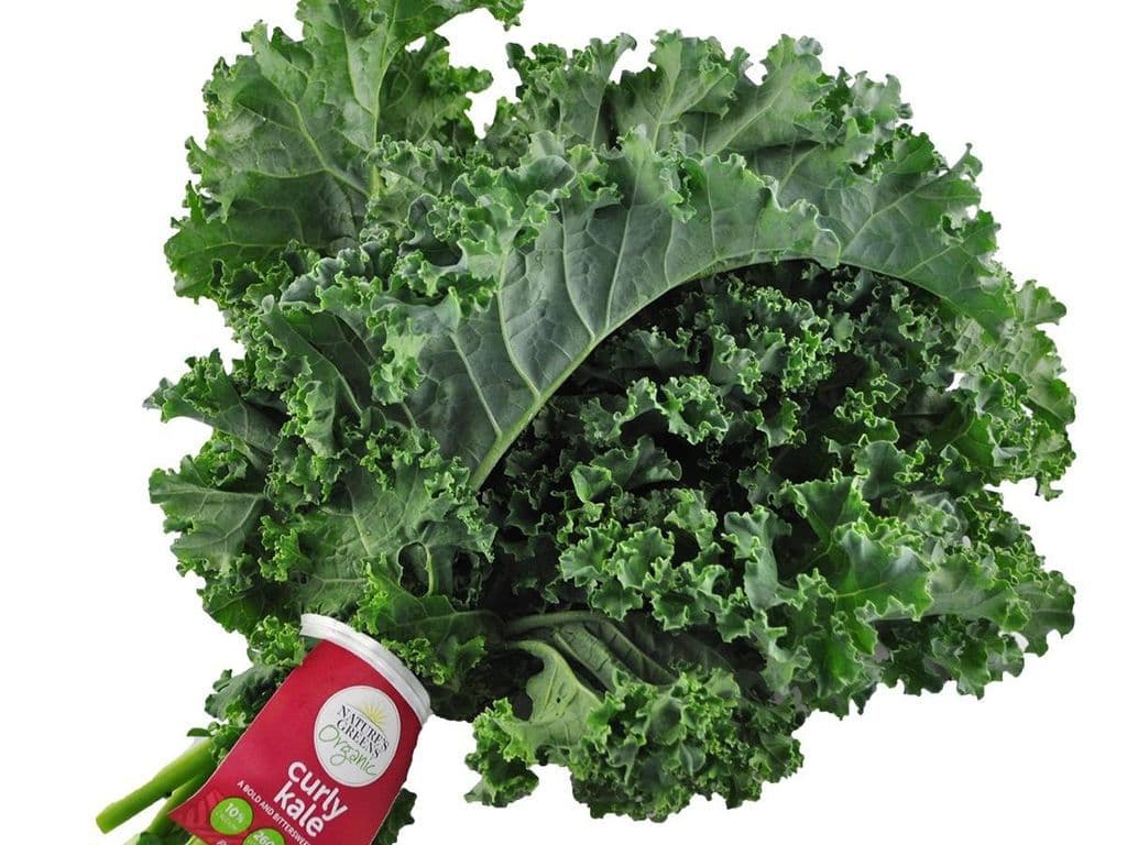 Green Kale Organic (Bunch)