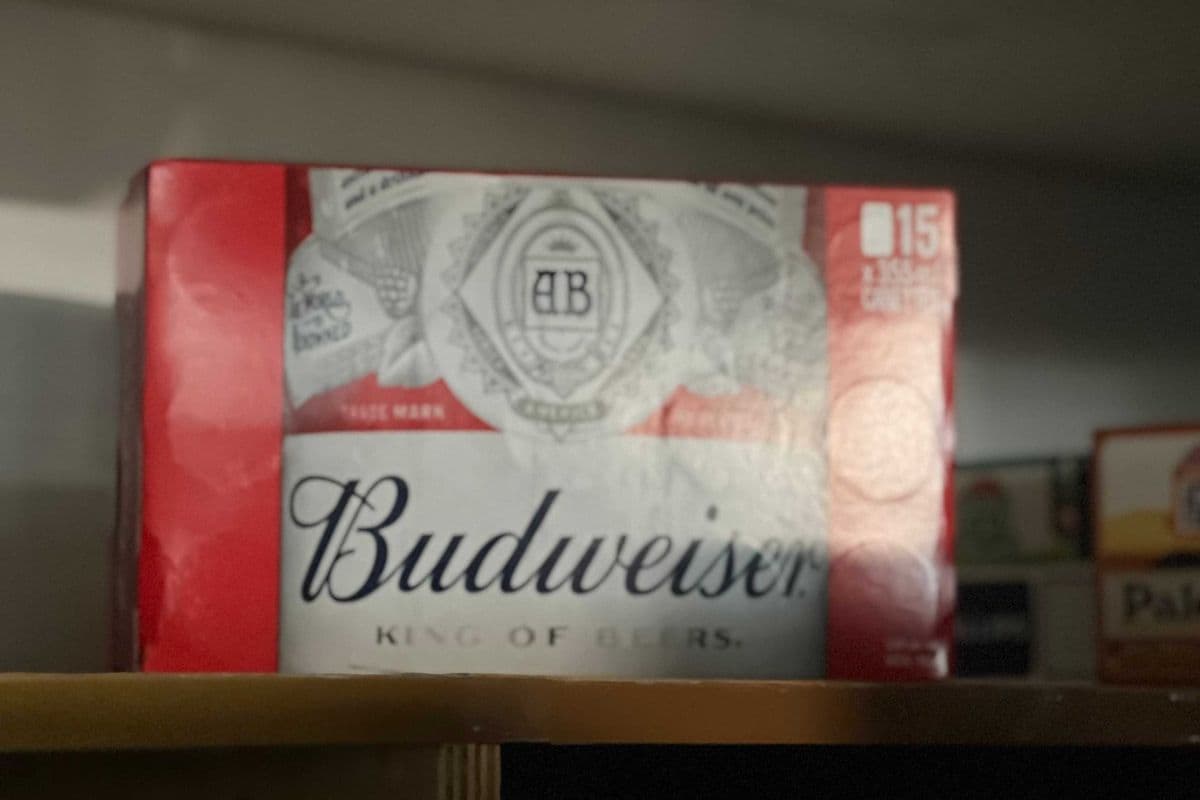 Budweiser (15 Pack) (1 x 15 PK)