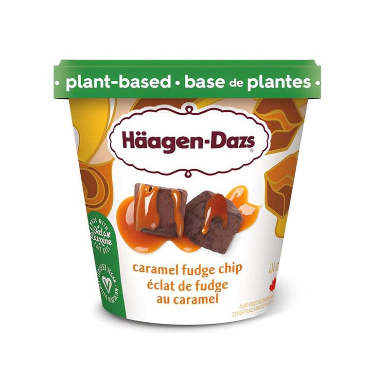 Haagen Dazs Caramel Fudge Chip (V)