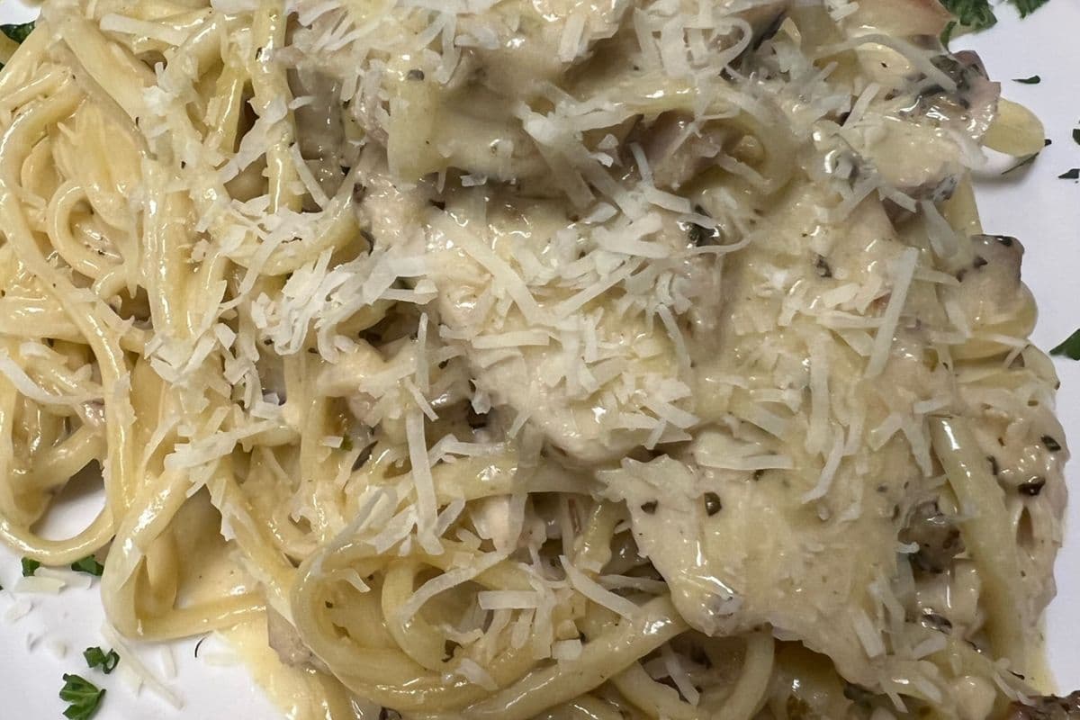 Chicken Alfredo