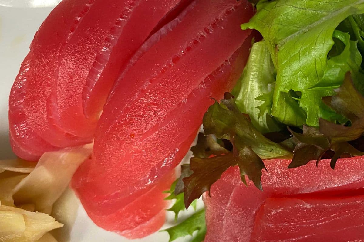 N6. Maguro