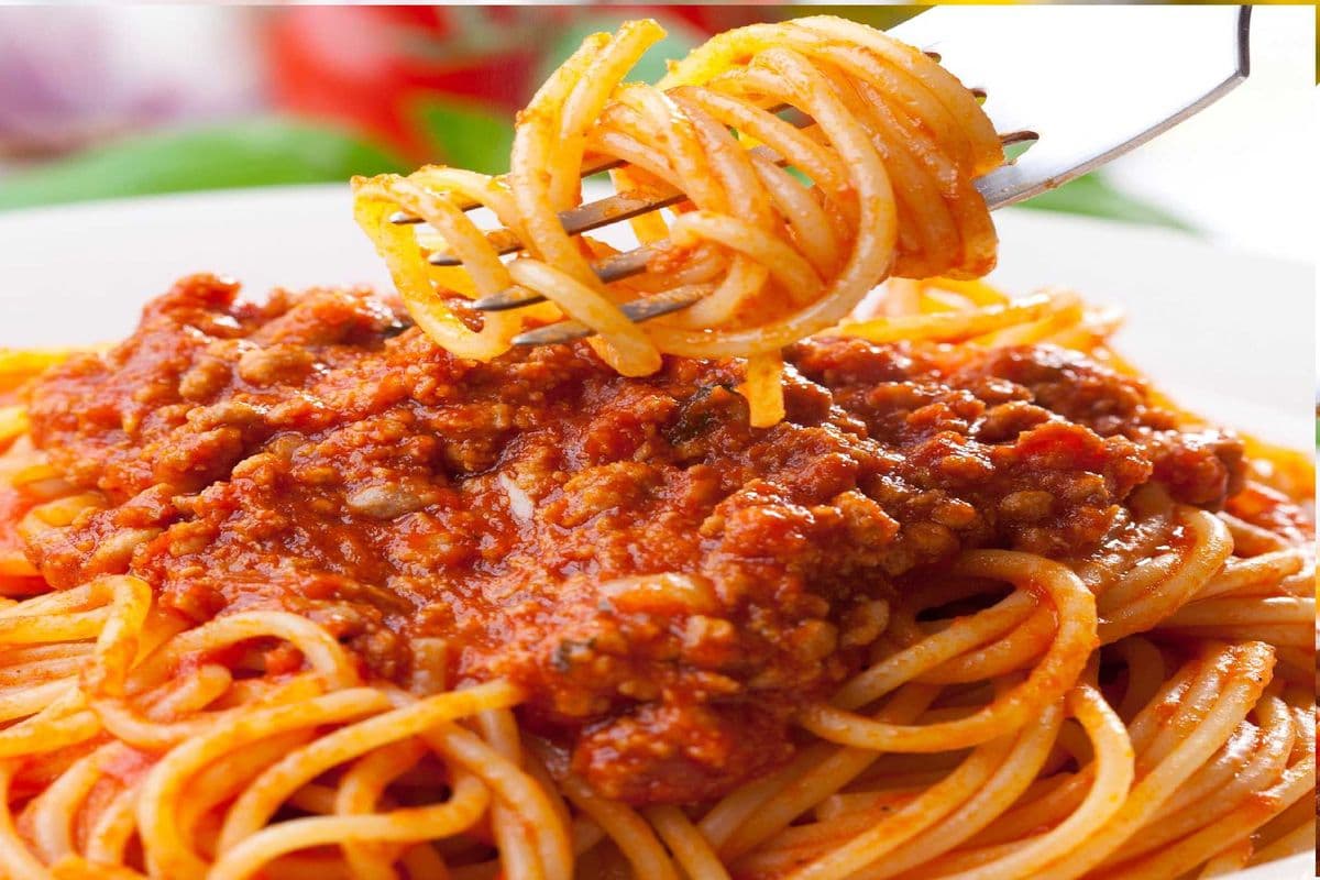 Bolognese