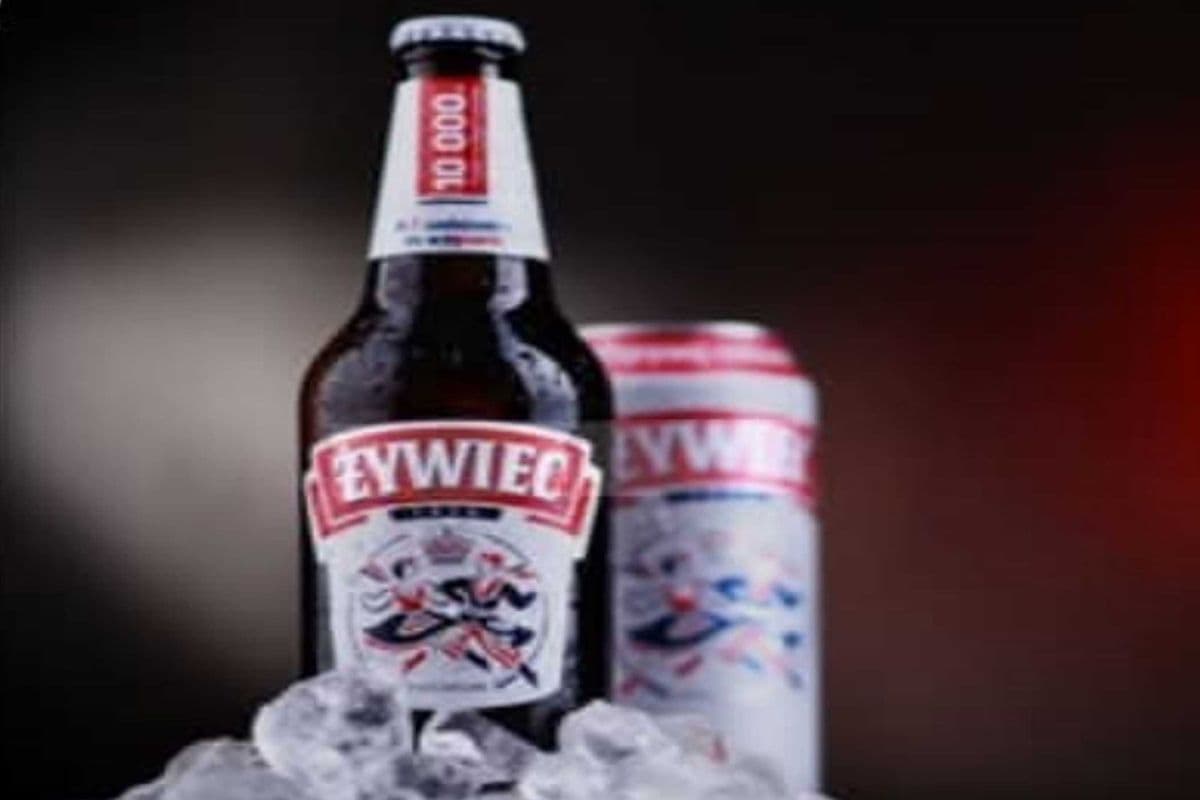 ZYWEIC POLISH BEER (1 x 500ML)