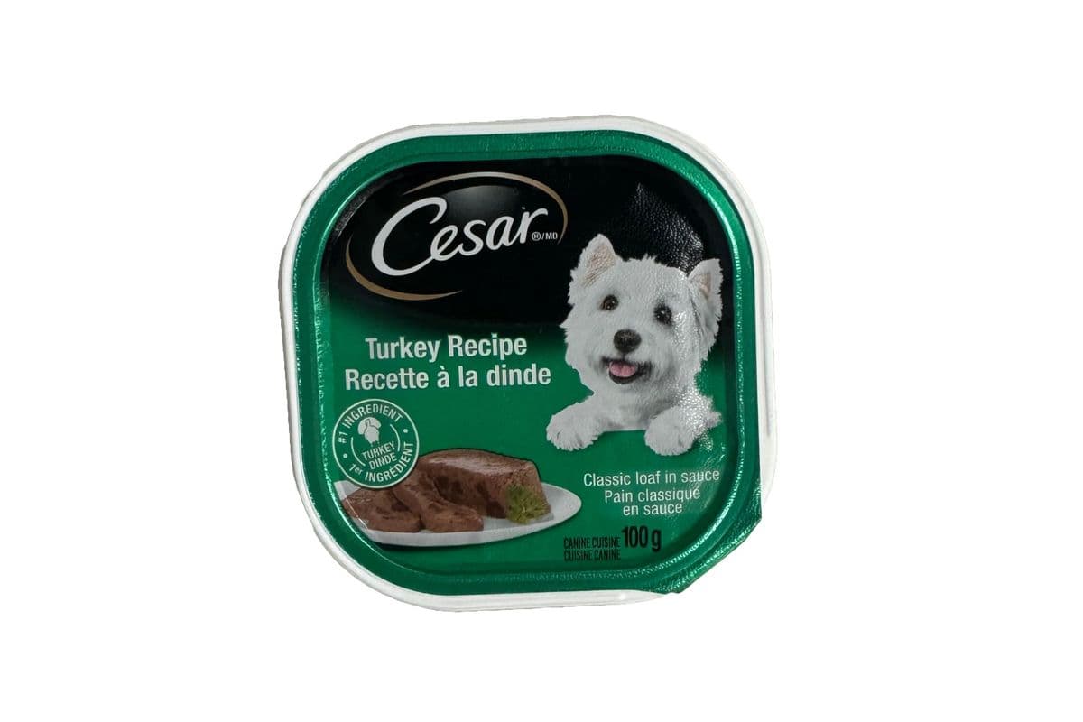 Cesar Turkey
