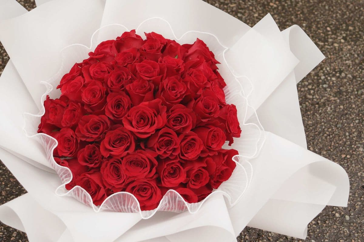 Forever Love (50 Red Roses)