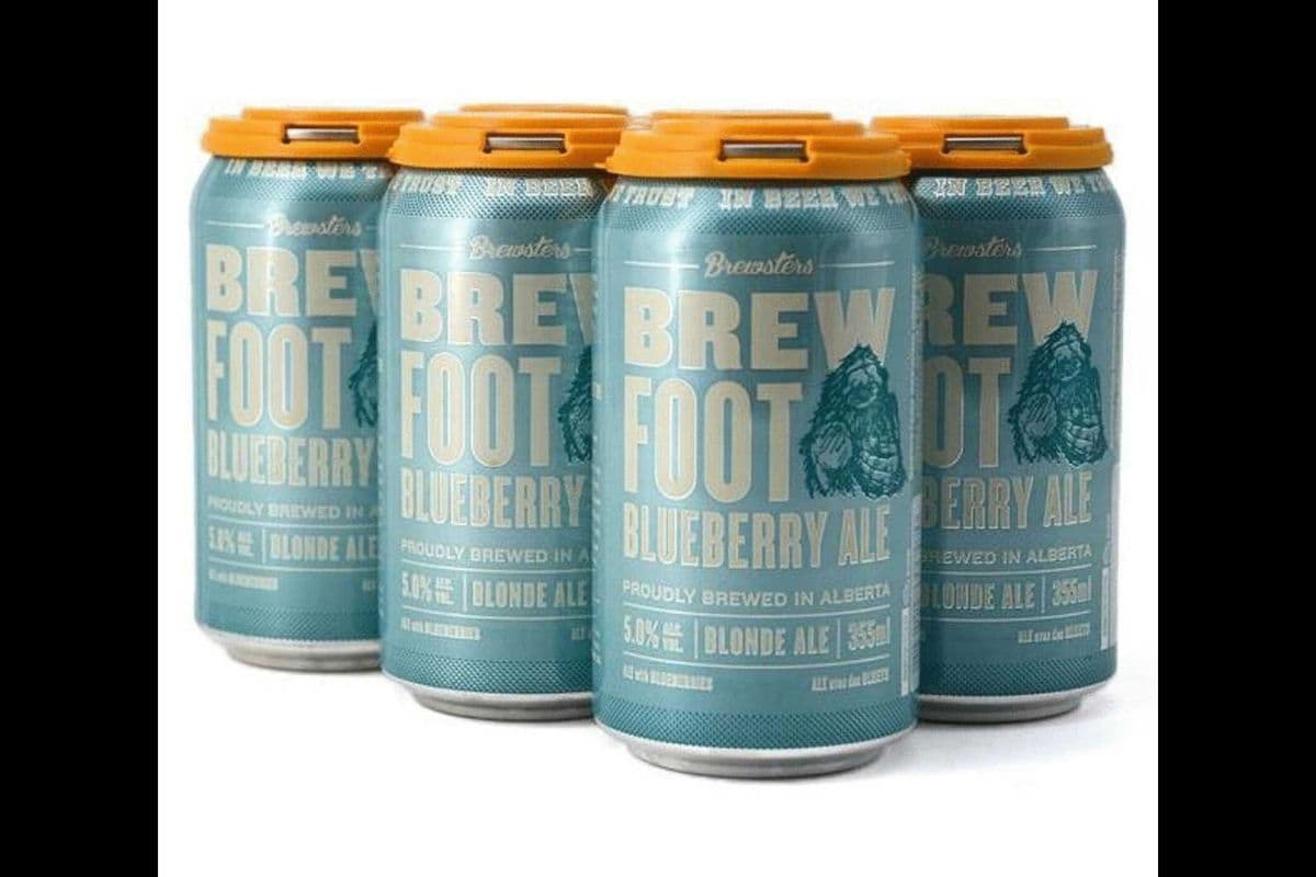 BREWSTER BREW FOOT BLUEBERRY ALE (6 x 355ML CANS) (6 x 355ML)