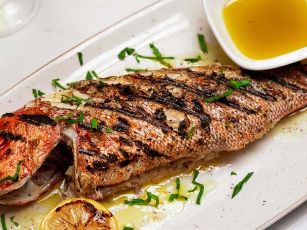 Red Snapper