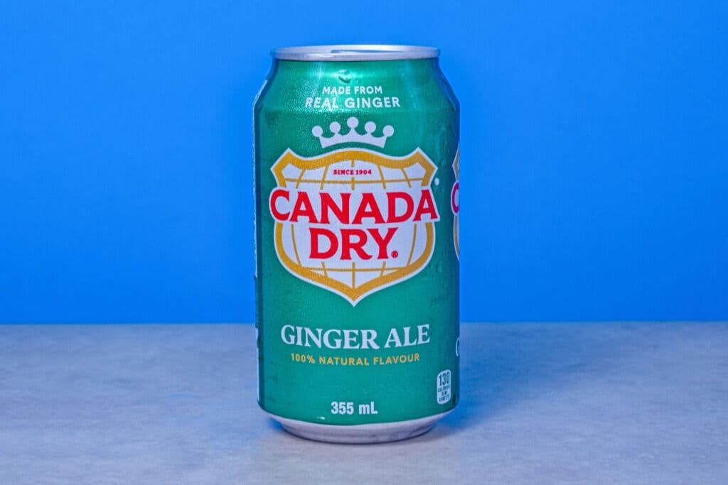 Soda au Gingembre/Ginger Ale Canettes/Can