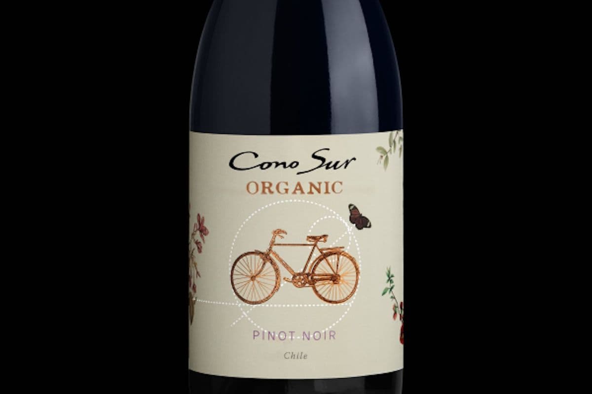CONO SUR ORGANIC PINOT NOIR 750ML (1 x 750ML)