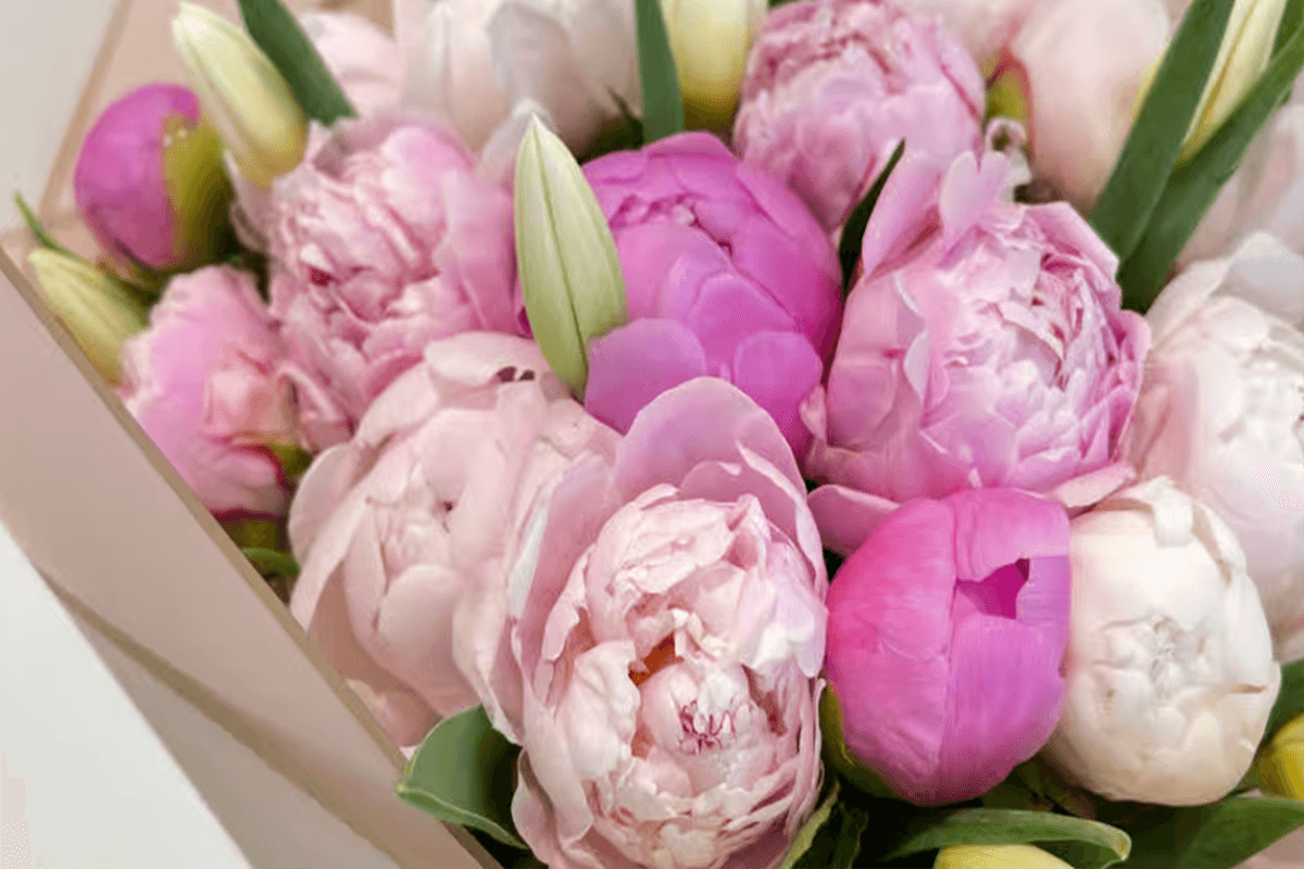 5. The Peony Promise