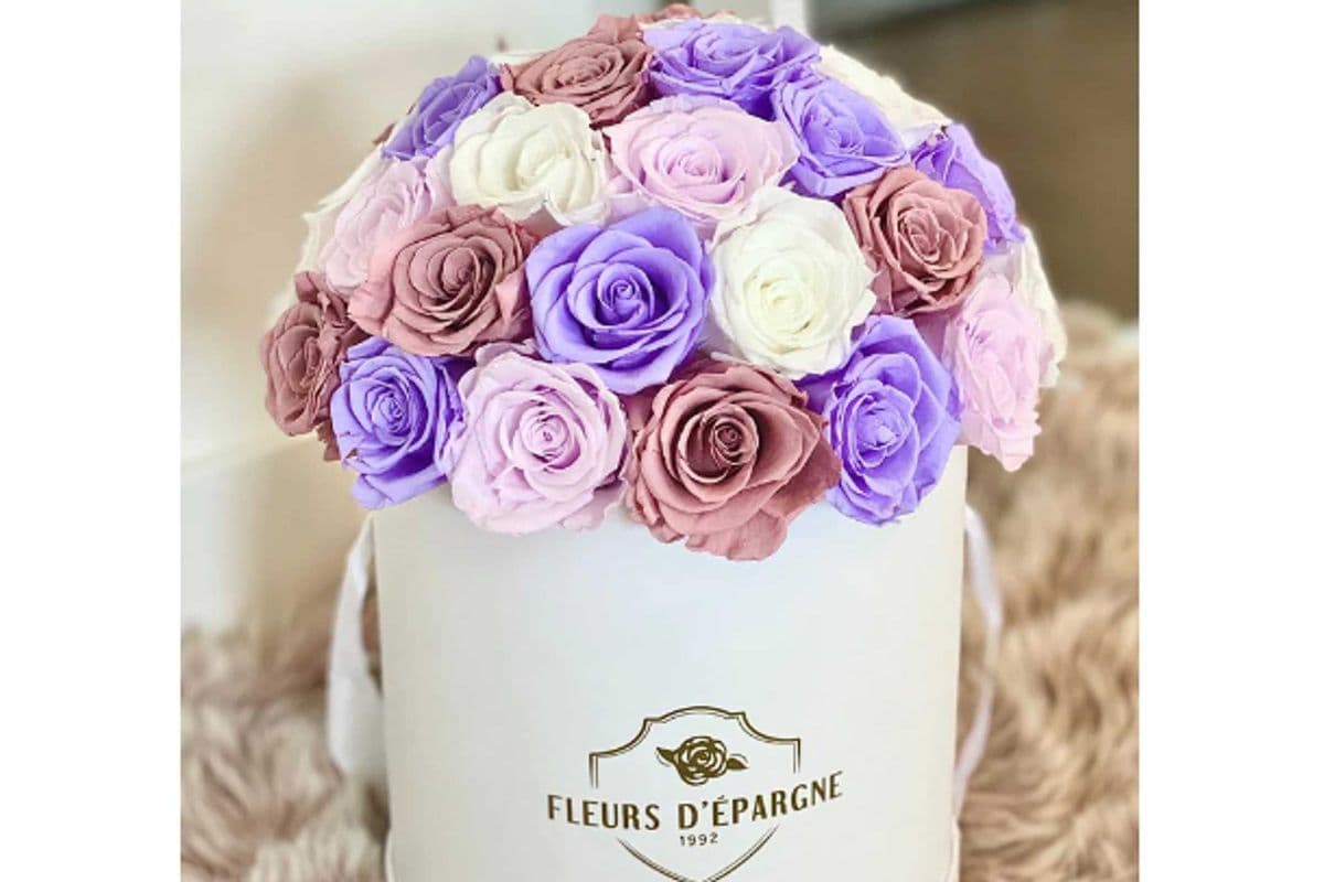 Superdome in Classic Rose Bucket