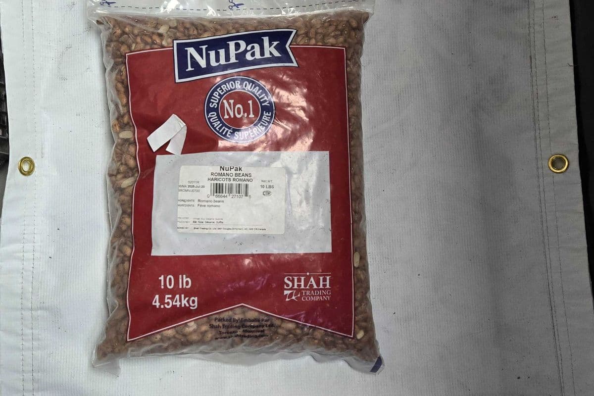 DUNYA / NUPAK HARICOTS ROMANO (10 LBS)