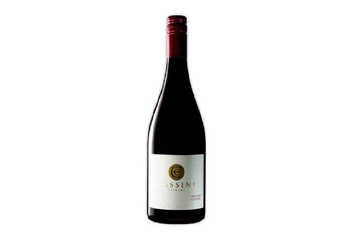 Cassini Pinot Noir (750 ml Bottle) (1 x 750 ml)