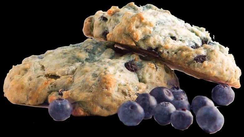 Blueberry Scone